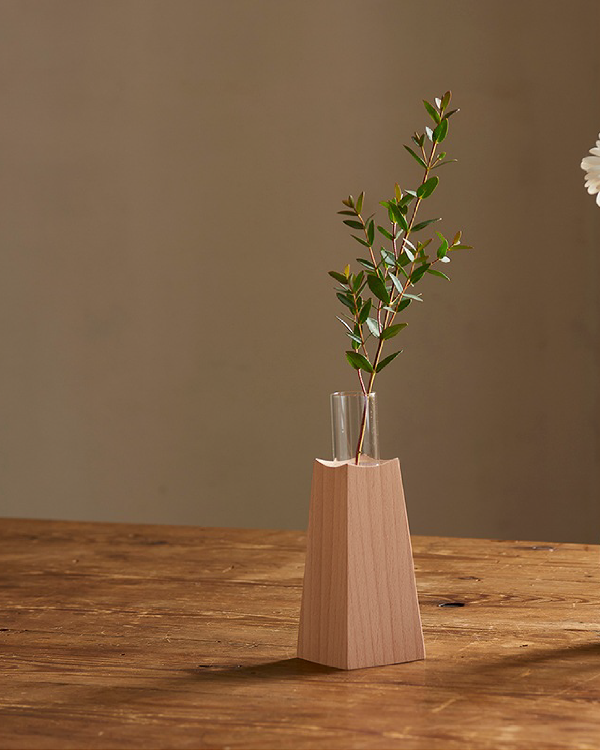 日本 essens 山毛櫸木玻璃容器花瓶