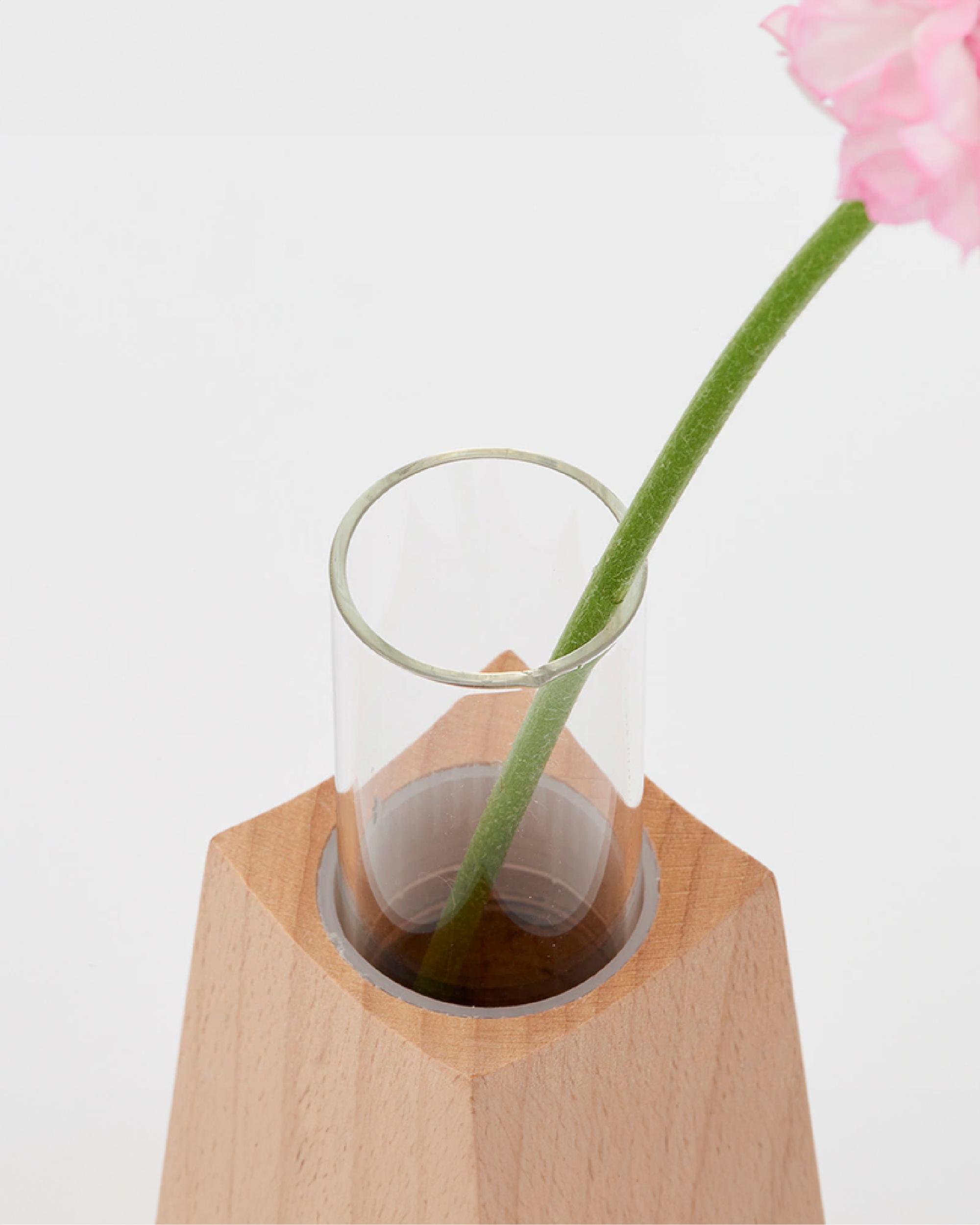 日本 essens 山毛櫸木玻璃容器花瓶