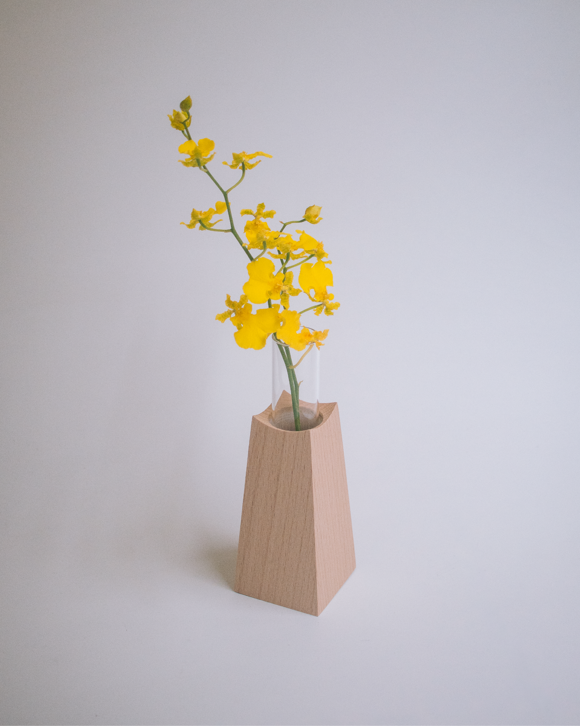 日本 essens 山毛櫸木玻璃容器花瓶