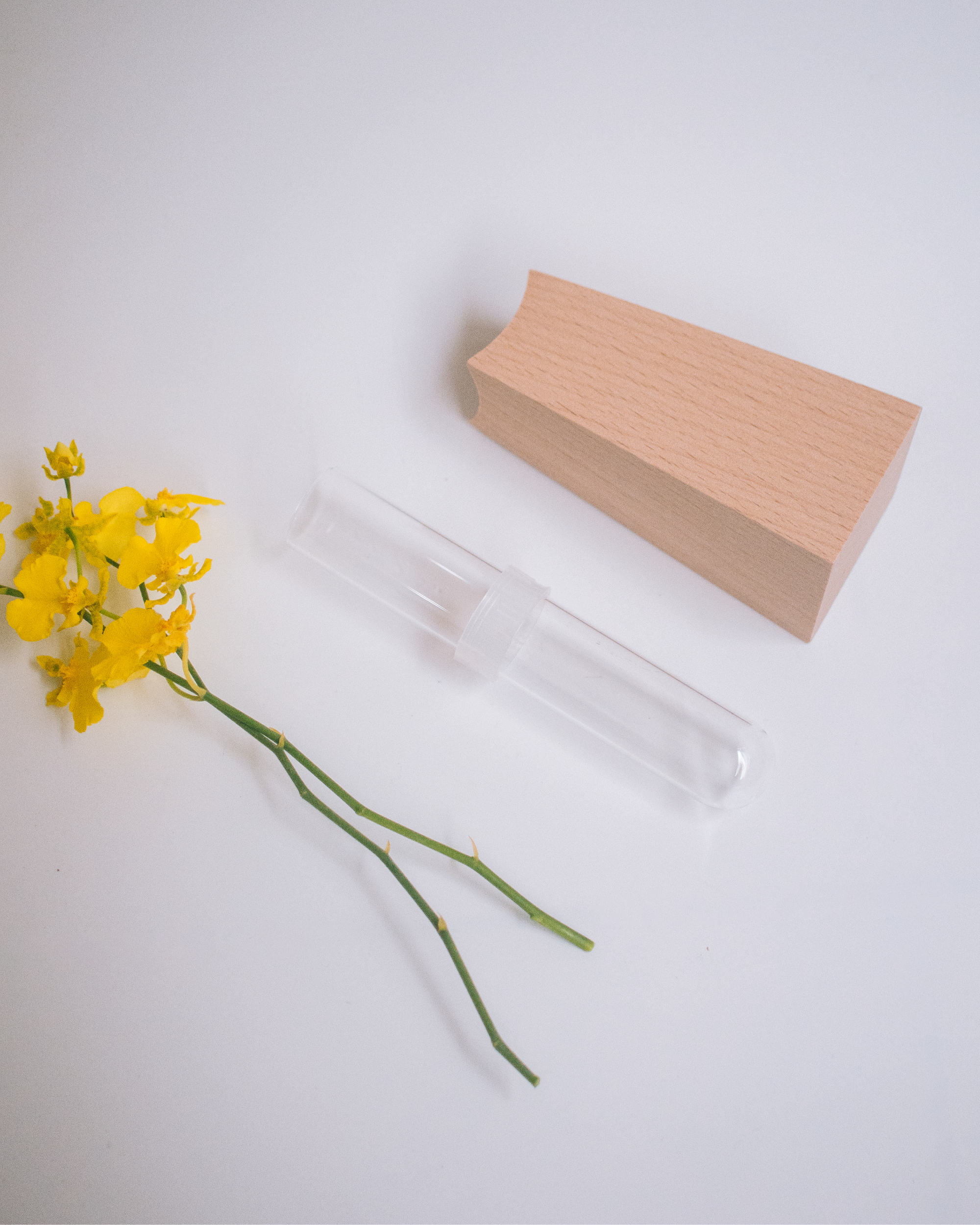 日本 essens 山毛櫸木玻璃容器花瓶