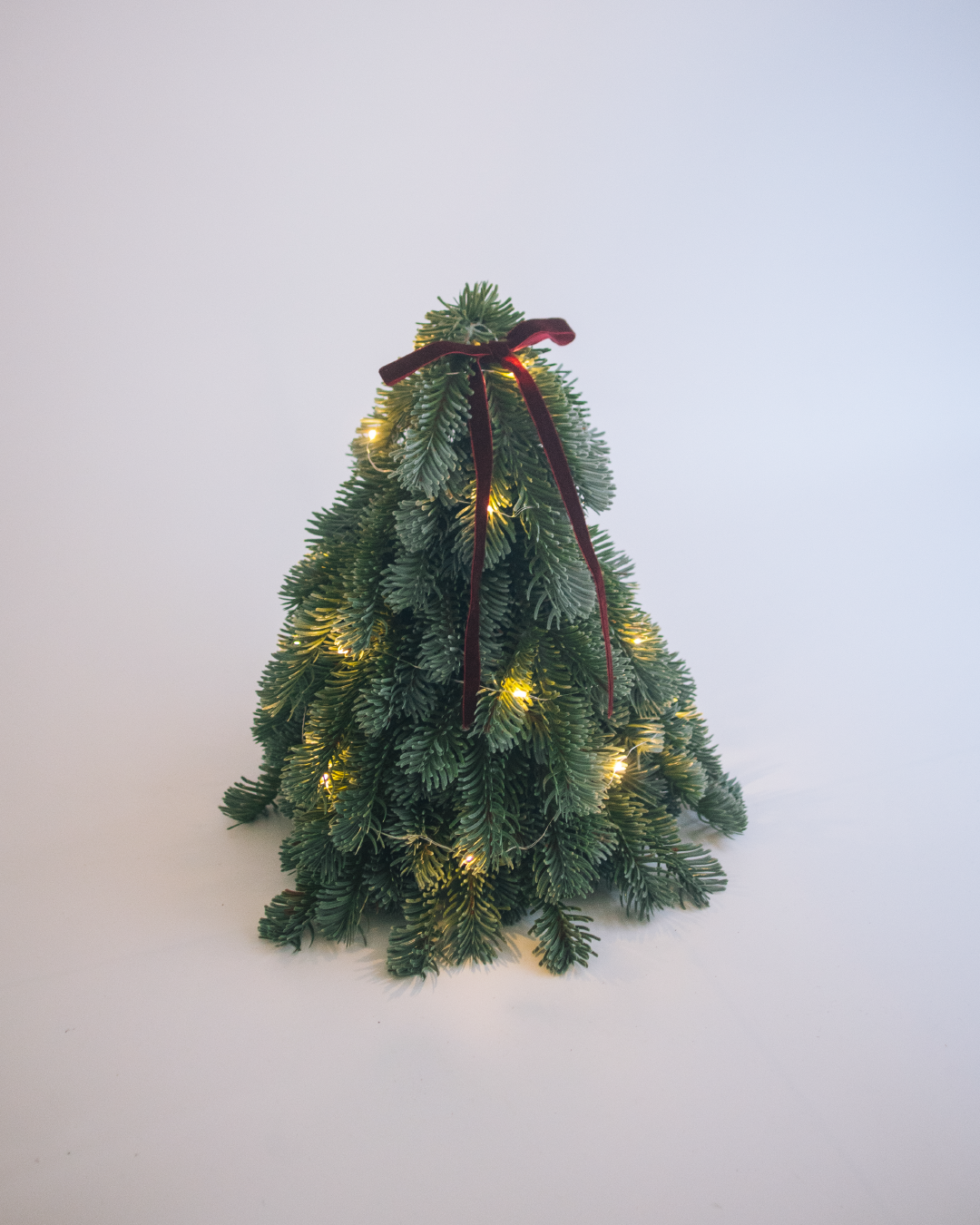 noble fir 仿真諾貝松聖誕小樹 30cm(附贈燈串、緞帶蝴蝶結)