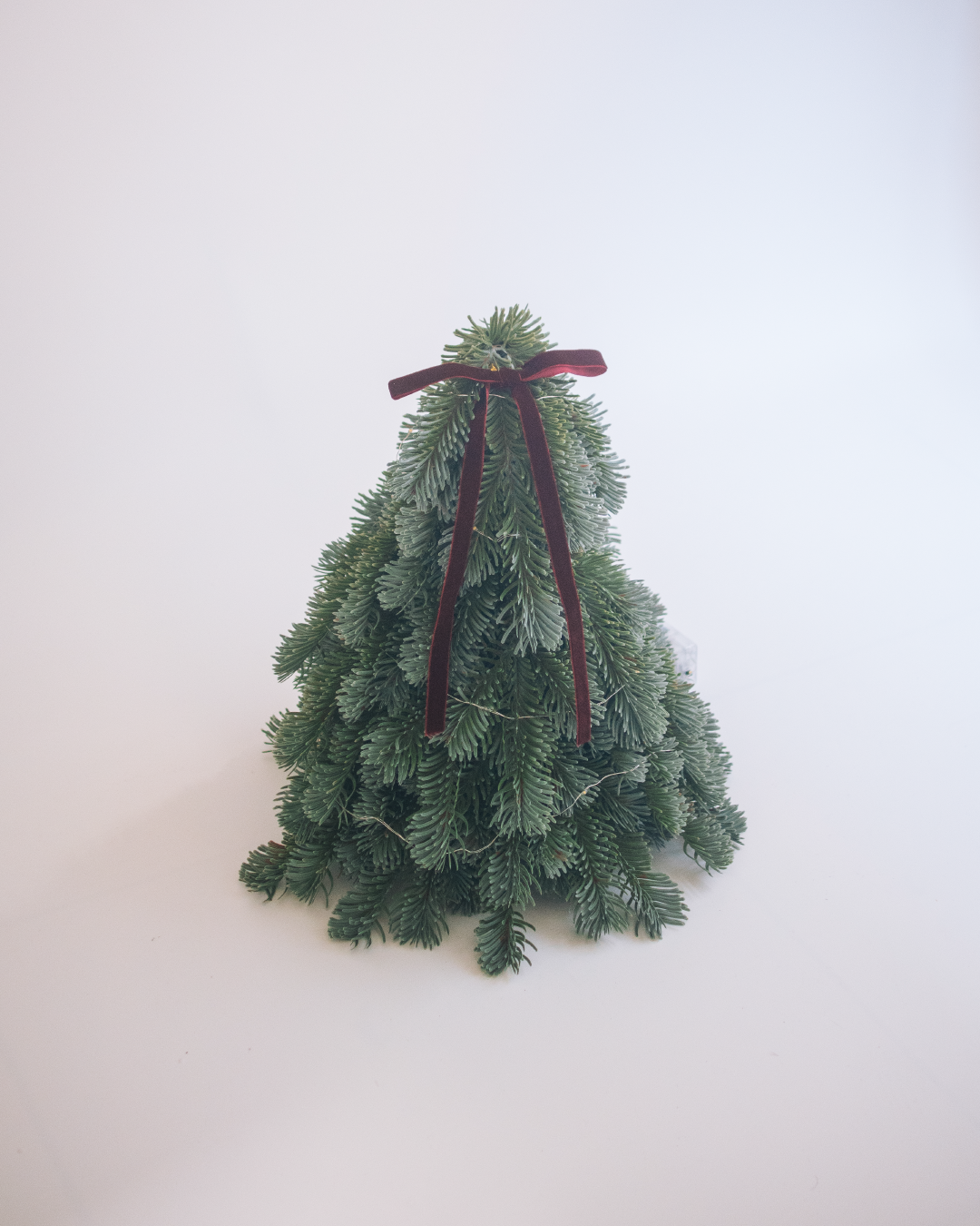 noble fir 仿真諾貝松聖誕小樹 30cm(附贈燈串、緞帶蝴蝶結)