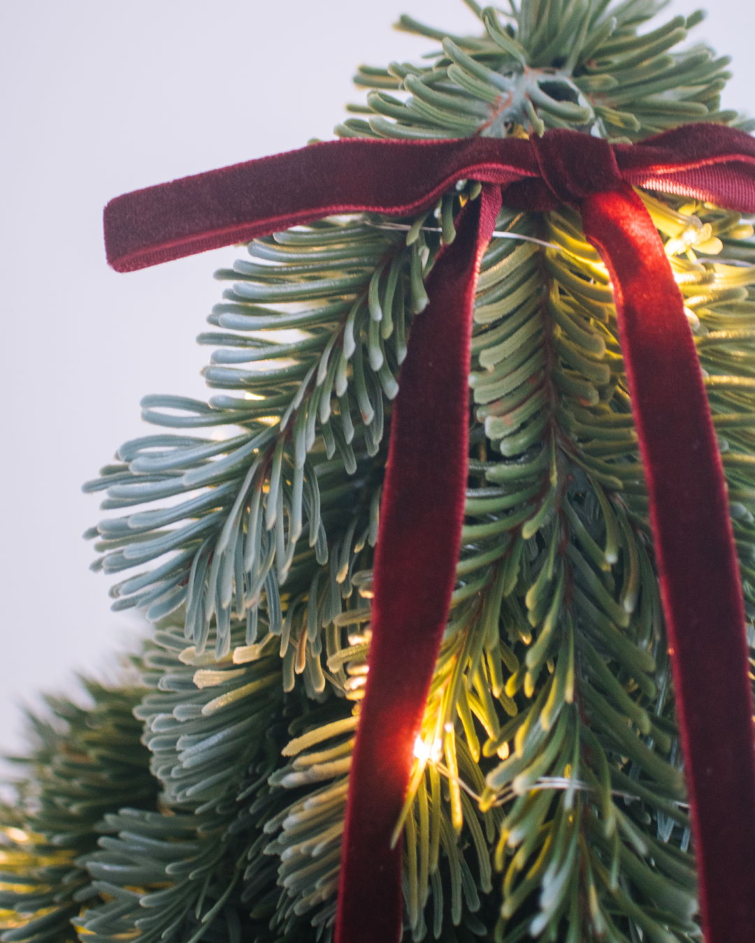 noble fir 仿真諾貝松聖誕小樹 30cm(附贈燈串、緞帶蝴蝶結)