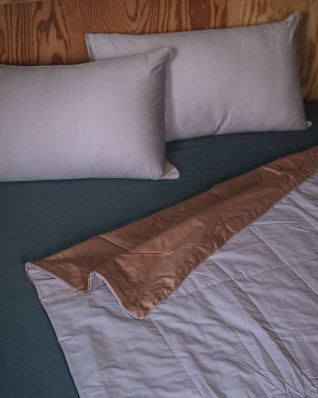 全店單筆滿 $3800 贈禮:絲緞棉枕套組(配色隨機)