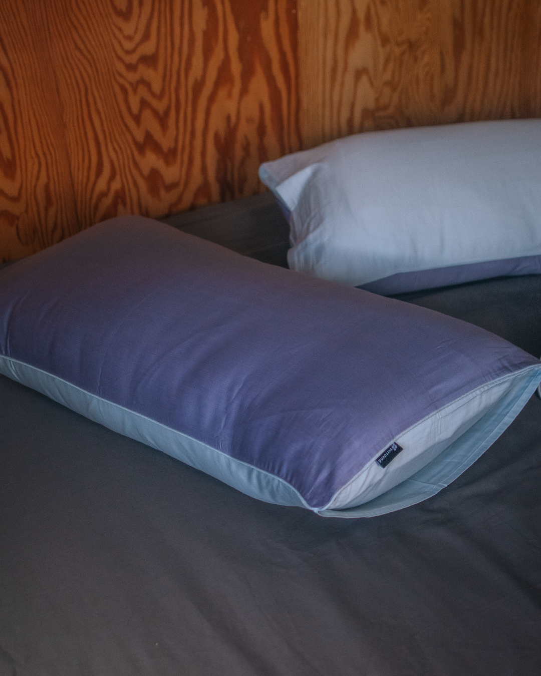 全店單筆滿 $3800 贈禮:絲緞棉枕套組(配色隨機)