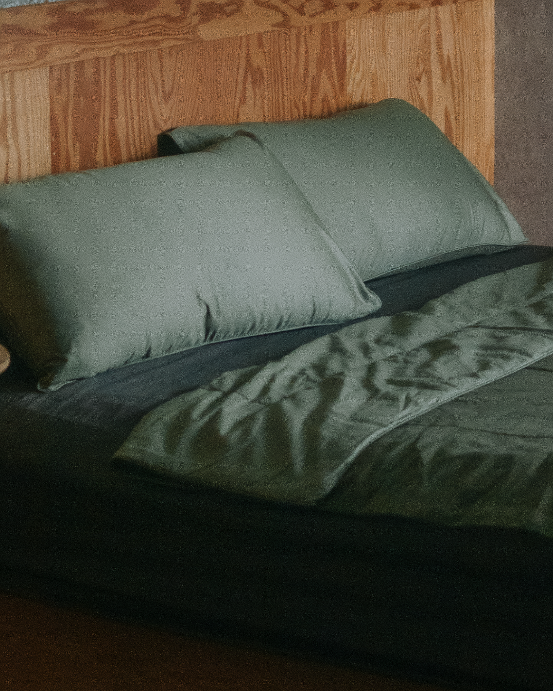 全店單筆滿 $3800 贈禮:絲緞棉枕套組(配色隨機)