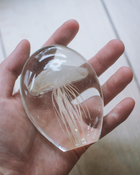 日本 bulla 水母泡泡玻璃工藝擺飾