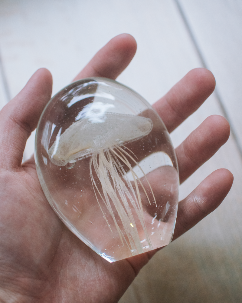 日本 bulla 水母泡泡玻璃工藝擺飾