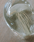 日本 bulla 水母泡泡玻璃工藝擺飾