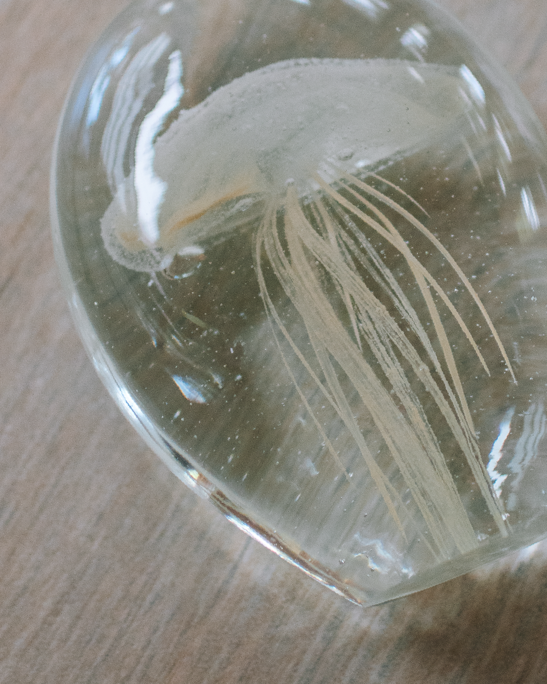 日本 bulla 水母泡泡玻璃工藝擺飾