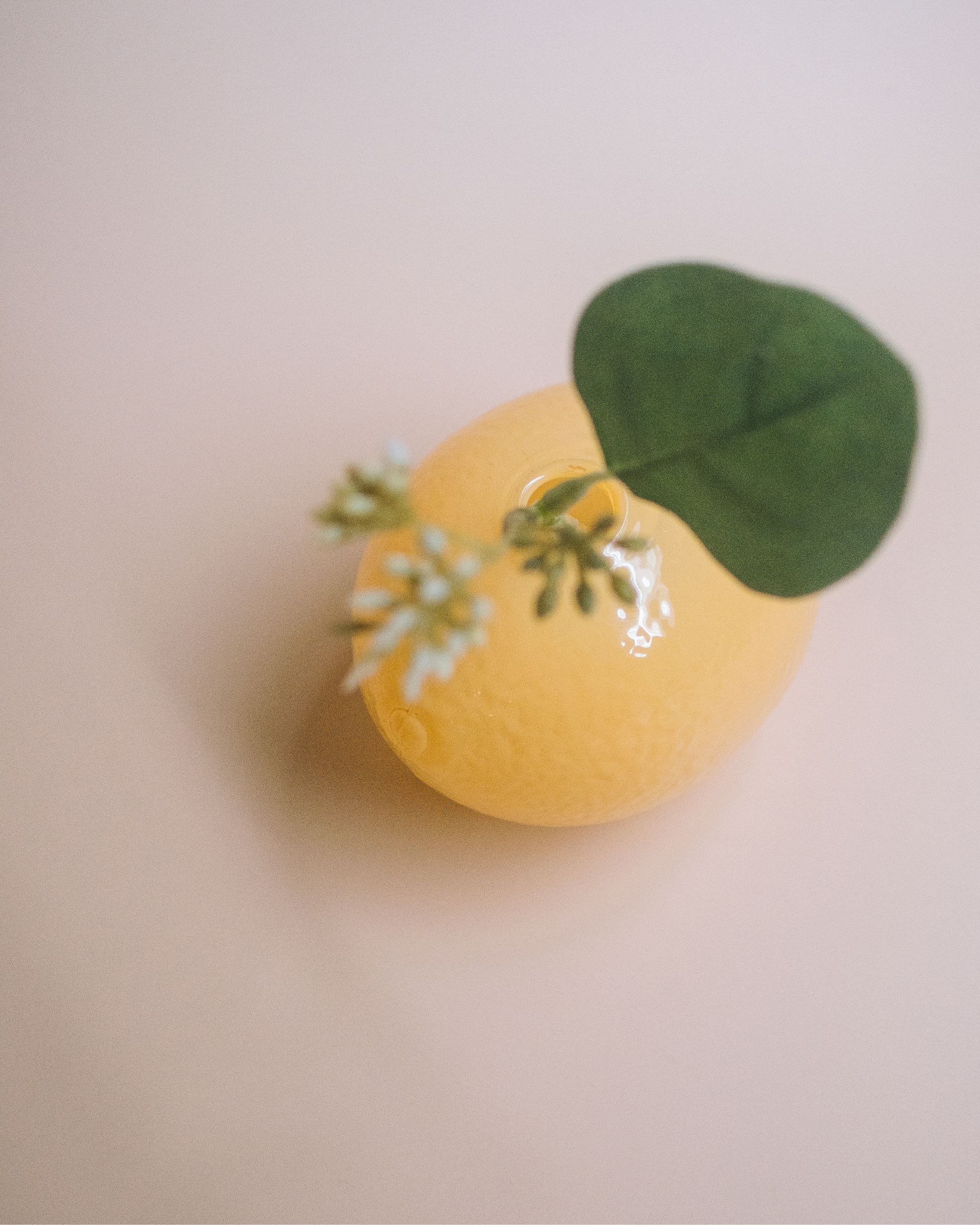 日本 citro 檸檬玻璃小花器