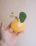 日本 citro 檸檬玻璃小花器