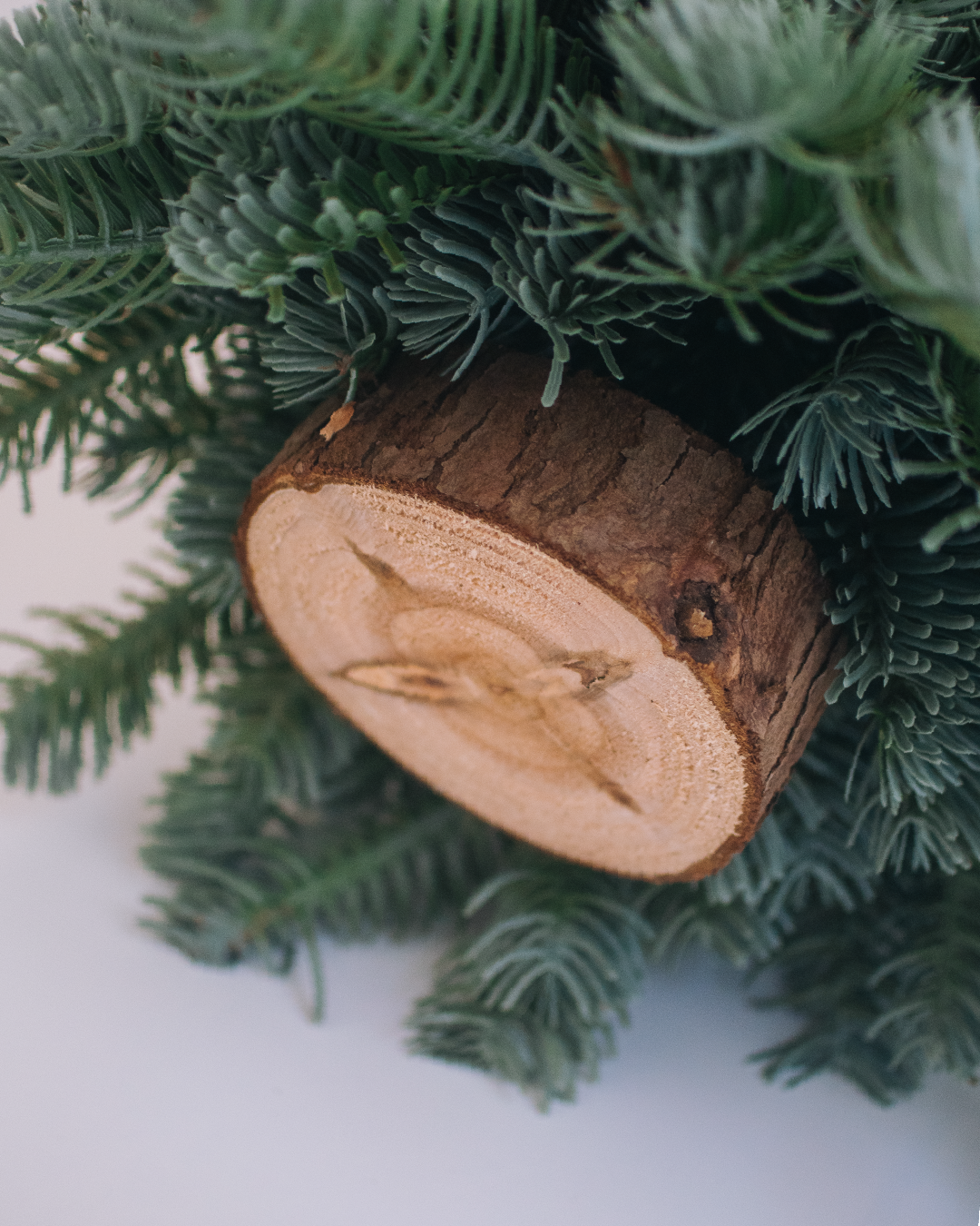 noble fir 仿真諾貝松聖誕小樹 30cm（附贈燈串、緞帶蝴蝶結）